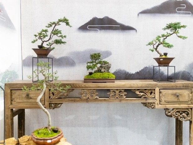黃銅擺件多久保養(yǎng)一次合適：黃銅擺件保養(yǎng)周期需根據(jù)使用環(huán)境、氧化程度及材質(zhì)特性綜合判斷