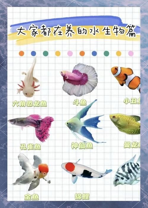 能提供更多混養(yǎng)魚(yú)類的圖片嗎：關(guān)于混養(yǎng)魚(yú)類的圖片資源推薦