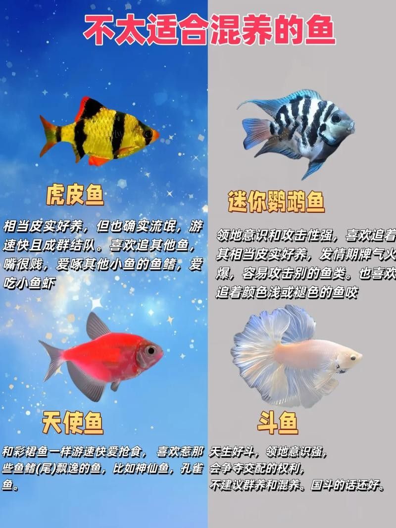 能提供更多混養(yǎng)魚(yú)類的圖片嗎：關(guān)于混養(yǎng)魚(yú)類的圖片資源推薦