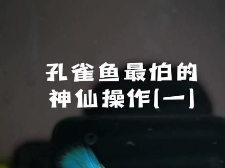 混養時水質管理的重要性：混養模式中水質管理是決定養殖效益的核心因素