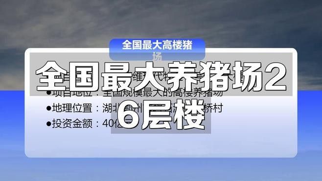 這些養殖場中哪家規模最大？：中國養殖行業中規模最大的十大養豬場 這些養殖場中哪家規模最大？：中國養殖行業中規模最大的十大養豬場 龍魚百科 第2張