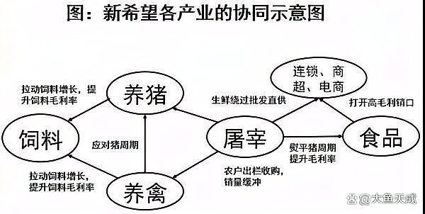 這些養殖場中哪家規模最大？：中國養殖行業中規模最大的十大養豬場 這些養殖場中哪家規模最大？：中國養殖行業中規模最大的十大養豬場 龍魚百科 第5張