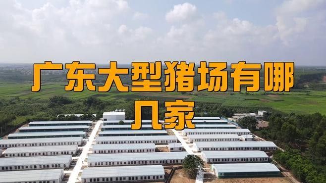 這些養殖場中哪家規模最大？：中國養殖行業中規模最大的十大養豬場 這些養殖場中哪家規模最大？：中國養殖行業中規模最大的十大養豬場 龍魚百科 第4張
