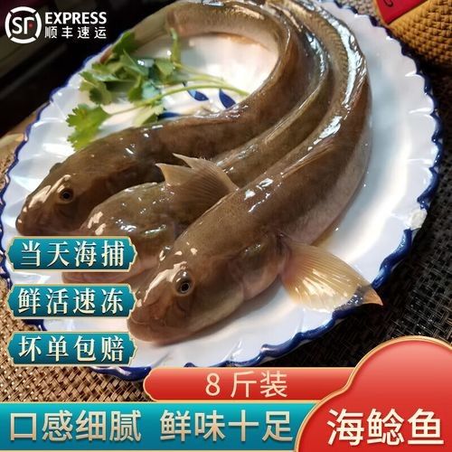 小龍魚的價格范圍是多少？：小龍魚價格范圍因品種和用途不同而差異較大 小龍魚的價格范圍是多少？：小龍魚價格范圍因品種和用途不同而差異較大 龍魚百科 第5張