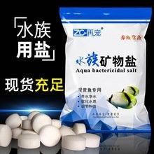海水龍魚的價格是多少：如何判斷海水龍魚的品種