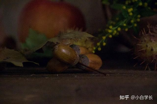 如何預防龍龜脫水？：如何預防龍龜脫水