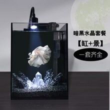 黑底透光魚缸的價格范圍：黑底透光魚缸價格根據尺寸、材質和功能差異較大 黑底透光魚缸的價格范圍：黑底透光魚缸價格根據尺寸、材質和功能差異較大 龍魚百科 第14張