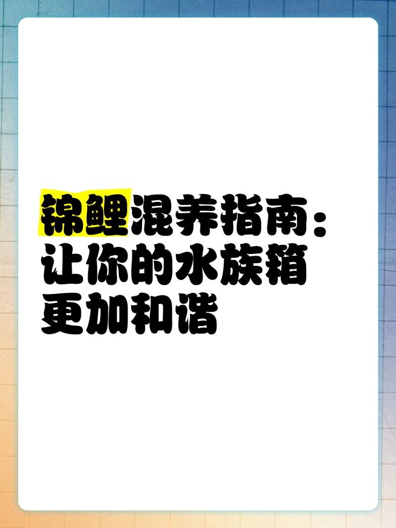 混養時如何避免水質波動？：觀賞魚混養指南:創建和諧魚缸生態的必備技巧