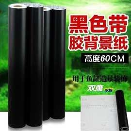 有沒有免費的金龍魚魚缸背景圖？：免費金龍魚魚缸背景圖