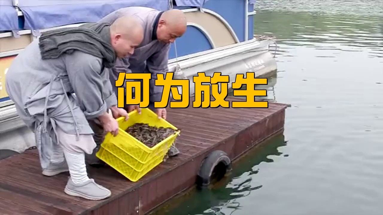 六角恐龍魚認主后可以放生嗎：六角恐龍魚是否認主與能否放生是兩個獨立的問題