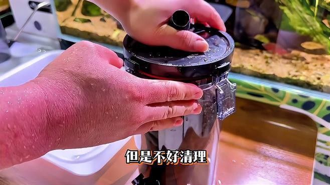 龍魚缸改草缸后如何維護：草缸造景丨草缸維護全解析