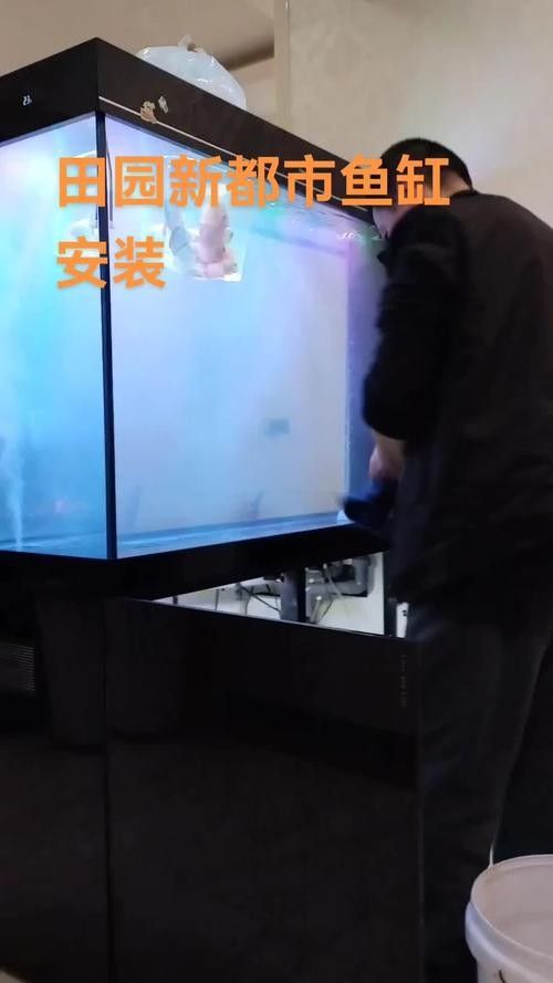 如何聯系博士龍魚缸的售后服務？：博士龍魚缸保修期是多久？