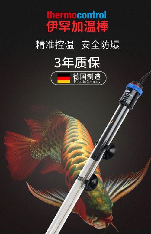如何選擇適合紅龍魚的加熱棒：如何挑選適合大型龍魚缸的加熱棒
