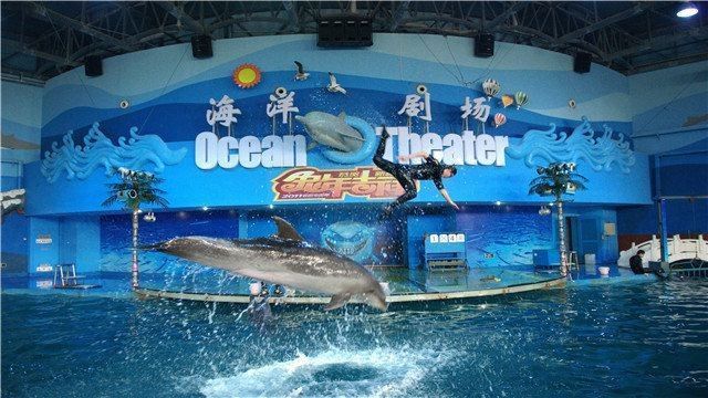 吳中哪個(gè)水族館龍魚(yú)好？祥龍魚(yú)場(chǎng)龍魚(yú)：廣州龍魚(yú)祥龍魚(yú)場(chǎng)