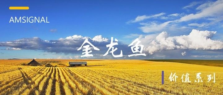 金龍魚還有哪些區域性品牌？：金龍魚區域性品牌有哪些金龍魚區域性品牌有哪些 金龍魚還有哪些區域性品牌？：金龍魚區域性品牌有哪些金龍魚區域性品牌有哪些 龍魚百科 第6張