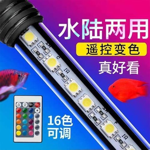 如何判斷一款龍魚燈具的性價(jià)比：魚缸燈選購(gòu)指南