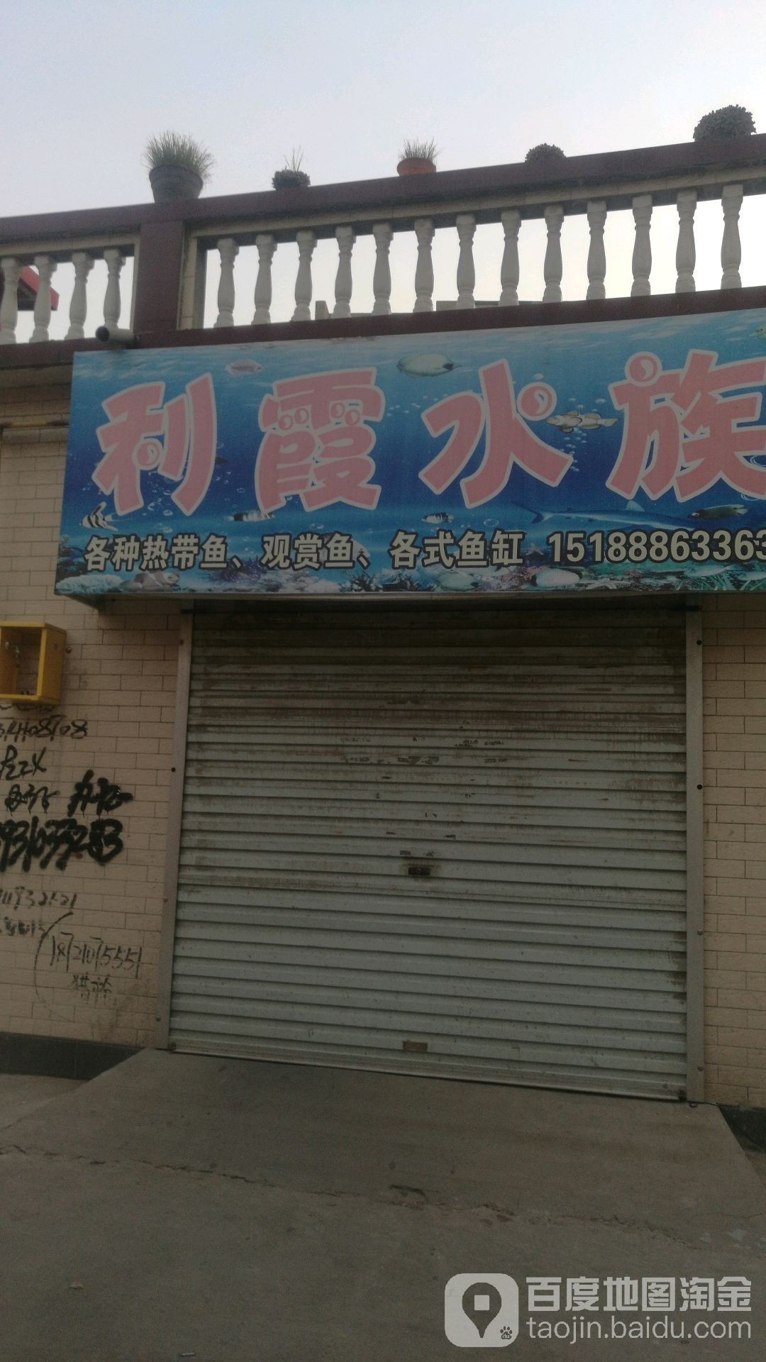 磁縣哪個水族館龍魚好？祥龍魚場龍魚：廣州龍魚祥龍魚場白玉紅龍魚白玉紅龍魚飼養(yǎng)全指南 磁縣哪個水族館龍魚好？祥龍魚場龍魚：廣州龍魚祥龍魚場白玉紅龍魚白玉紅龍魚飼養(yǎng)全指南 龍魚百科 第7張