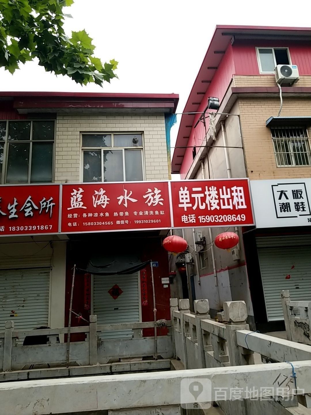 磁縣哪個水族館龍魚好？祥龍魚場龍魚：廣州龍魚祥龍魚場白玉紅龍魚白玉紅龍魚飼養(yǎng)全指南 磁縣哪個水族館龍魚好？祥龍魚場龍魚：廣州龍魚祥龍魚場白玉紅龍魚白玉紅龍魚飼養(yǎng)全指南 龍魚百科 第6張