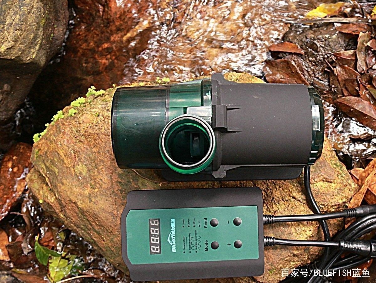哪種品牌的龍魚過濾器最好：老河馬的萌寵魚缸過濾器怎么安裝及魚缸過濾器全攻略
