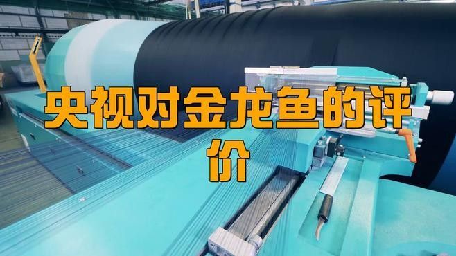 金龍魚旗艦店的評價如何：金龍魚旗艦店的評價整體呈現高滿意度