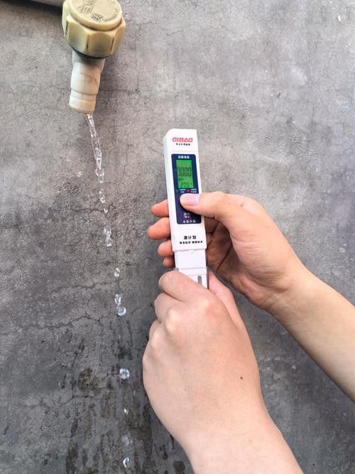 紅龍魚水質檢測筆推薦：紅龍魚水質檢測筆
