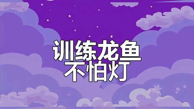 如何判斷龍魚(yú)是否適應(yīng)當(dāng)前光源：養(yǎng)龍魚(yú)不知道怎么選燈