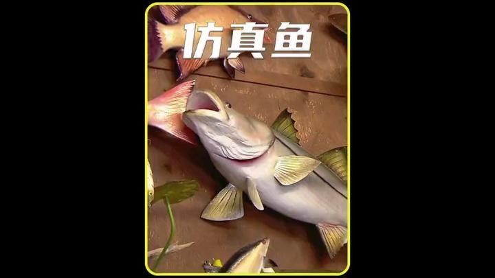 金龍魚標本制作過程：空氣養魚日記兩分鐘帶你了解金龍魚標本制作的全過程配資平臺 金龍魚標本制作過程：空氣養魚日記兩分鐘帶你了解金龍魚標本制作的全過程配資平臺 龍魚百科 第2張