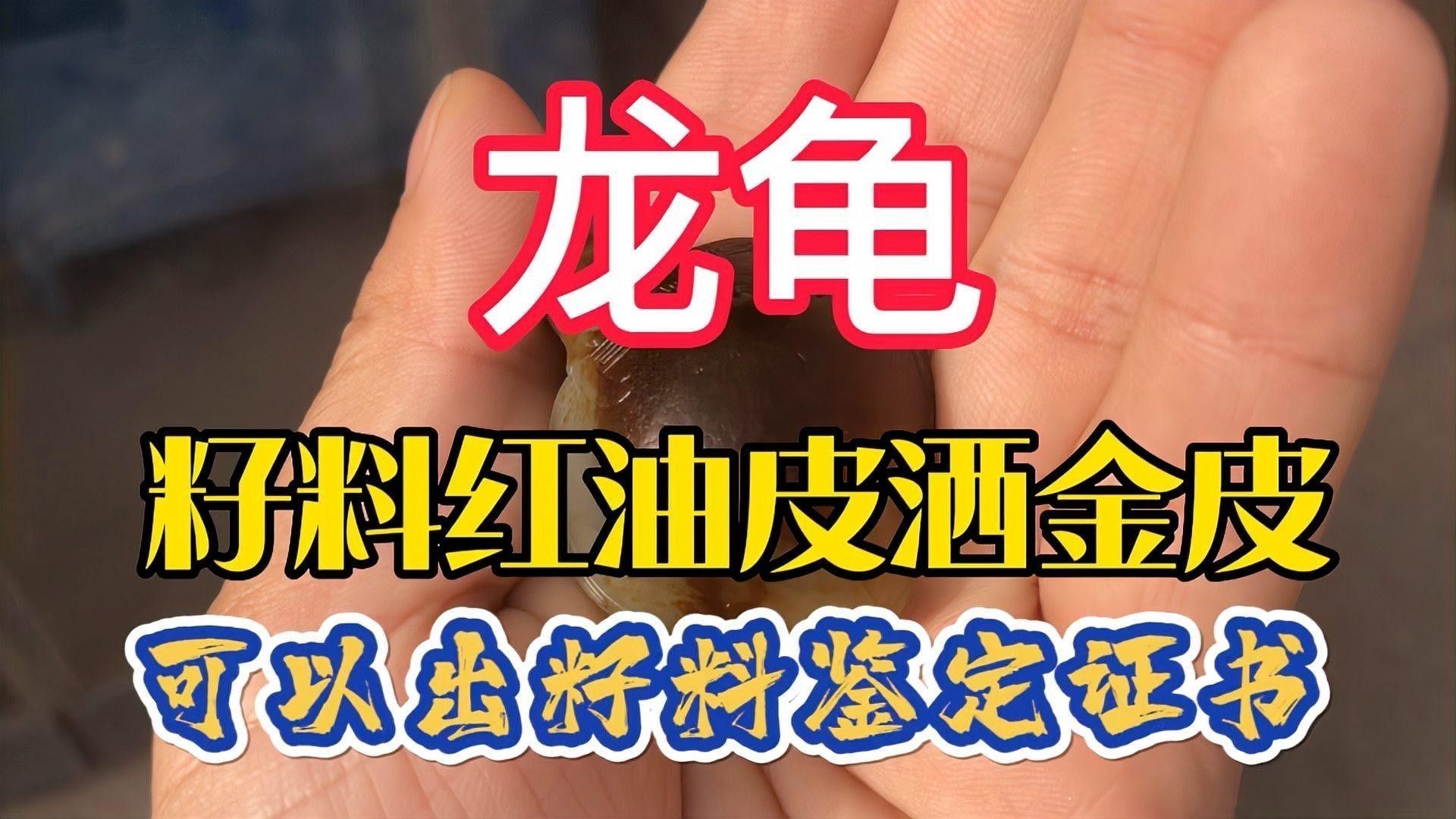如何辨別真假和田玉籽料龍龜：和田玉籽料珠子鑒別全攻略和田玉籽料珠子鑒別全攻略 如何辨別真假和田玉籽料龍龜：和田玉籽料珠子鑒別全攻略和田玉籽料珠子鑒別全攻略 龍魚百科 第7張