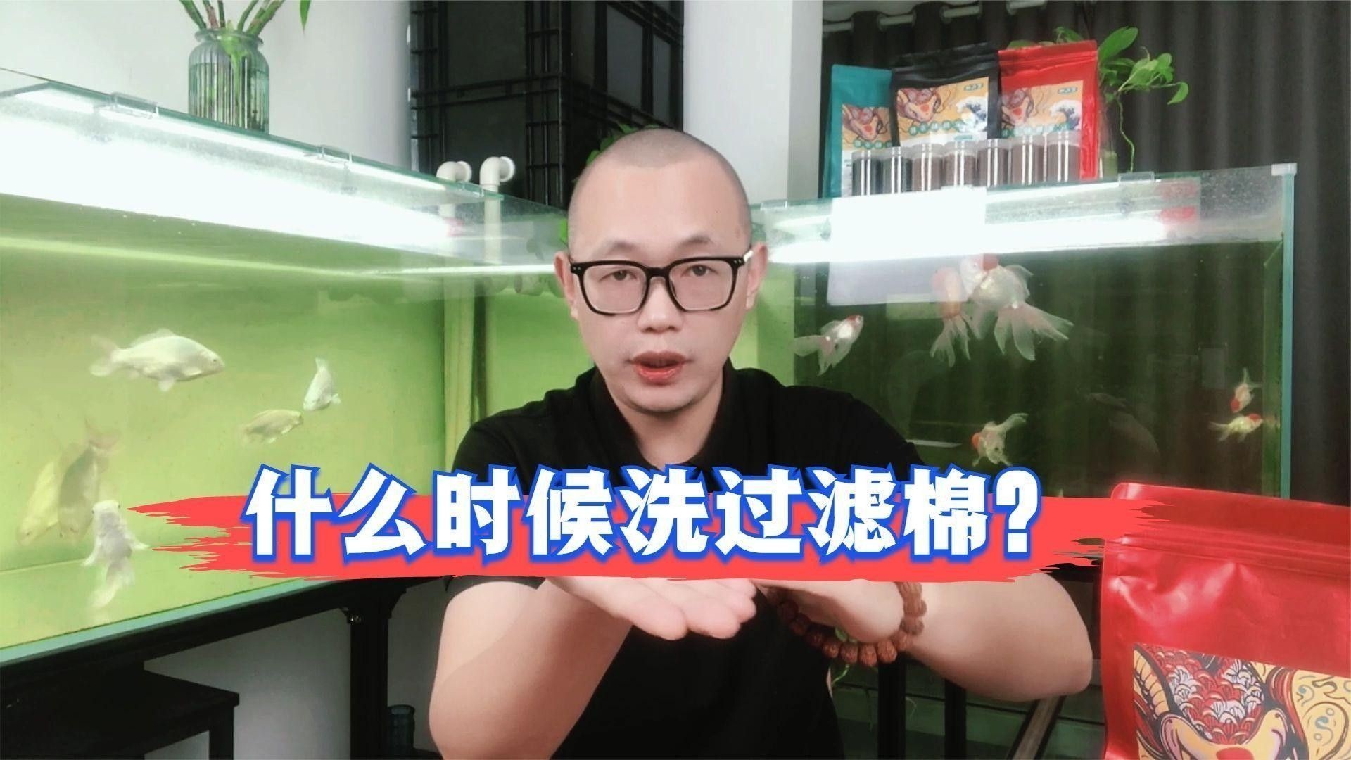 綠皮紅龍魚過濾器多久清洗一次：綠皮紅龍魚過濾器的清洗頻率 綠皮紅龍魚過濾器多久清洗一次：綠皮紅龍魚過濾器的清洗頻率 龍魚百科 第3張