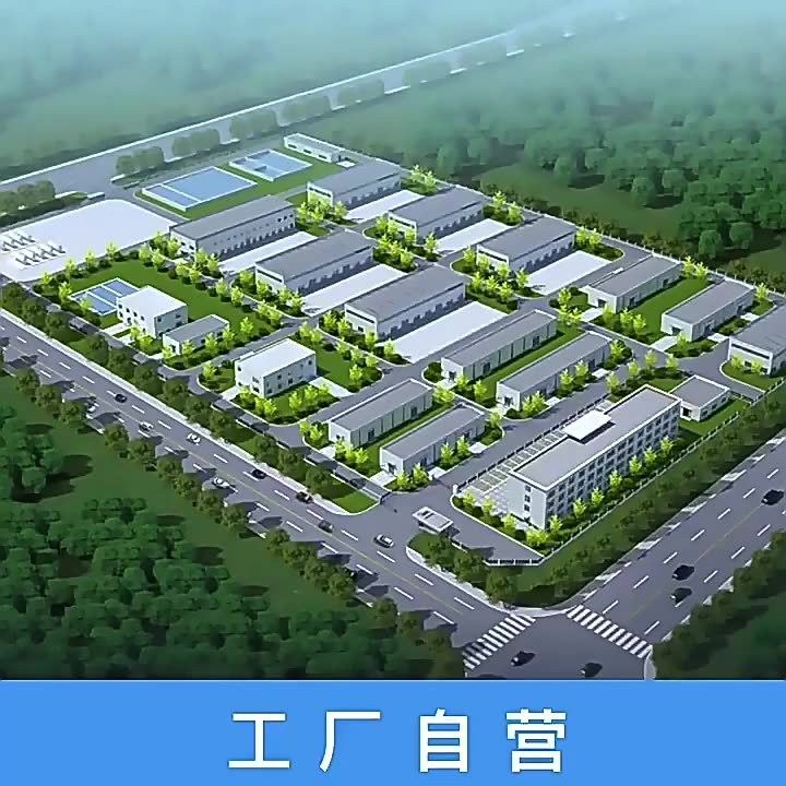 彩虹雷龍稀有品種的市場價格：彩虹雷龍魚多少錢一條