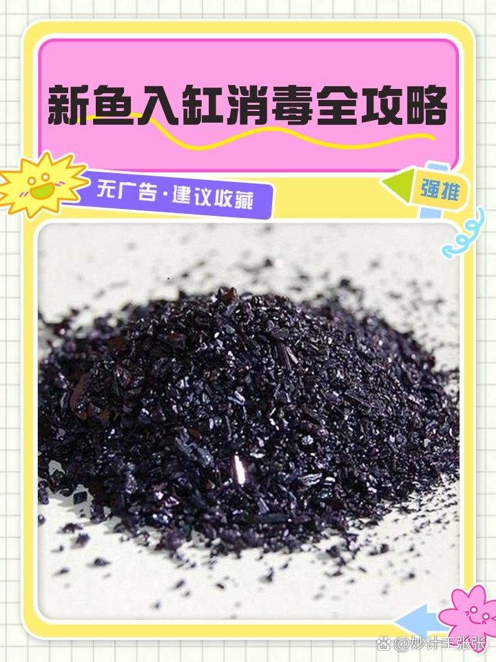 哪種消毒方法對紅龍魚苗最安全：紅龍魚苗安全消毒方法