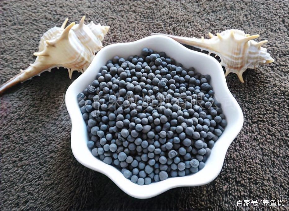 如何選擇合適的底砂？：養魚說，魚缸底砂用什么好 如何選擇合適的底砂？：養魚說，魚缸底砂用什么好 龍魚百科 第6張