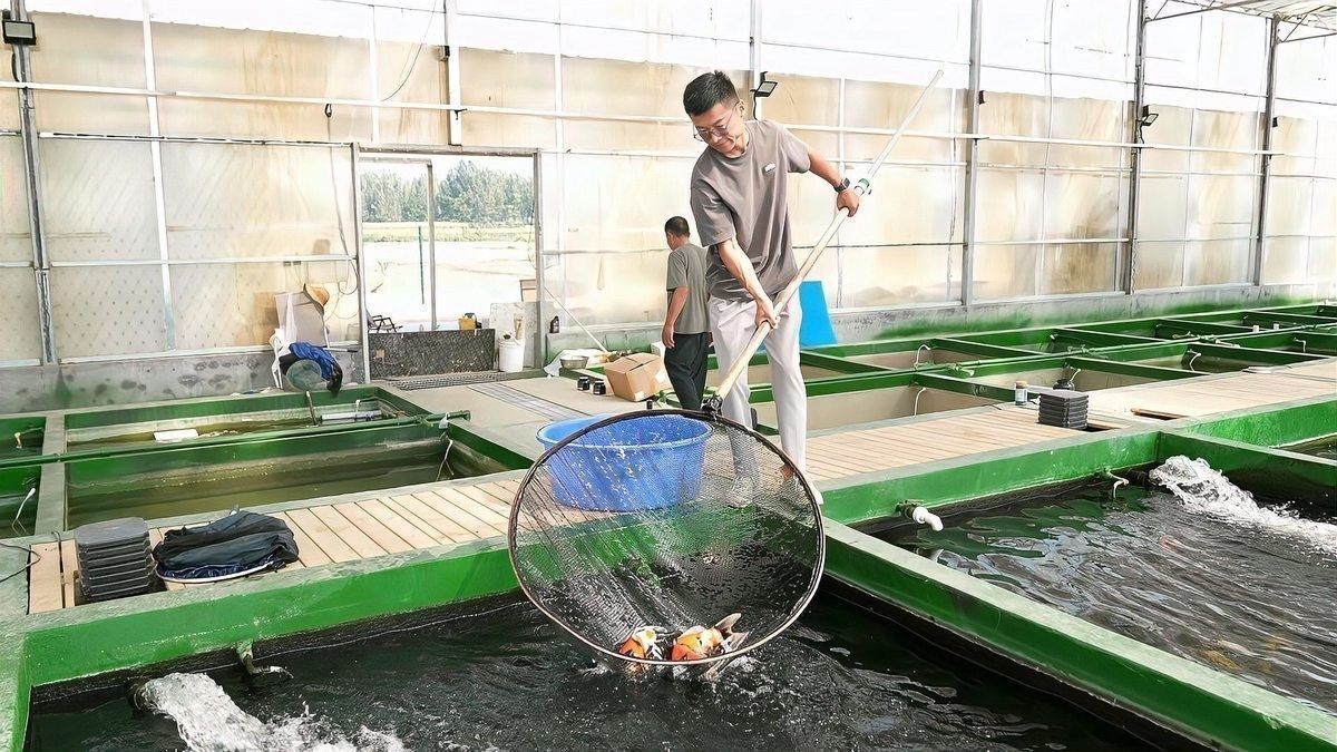 如何聯系濟寧龍魚魚場：關于濟寧龍魚魚場的公告