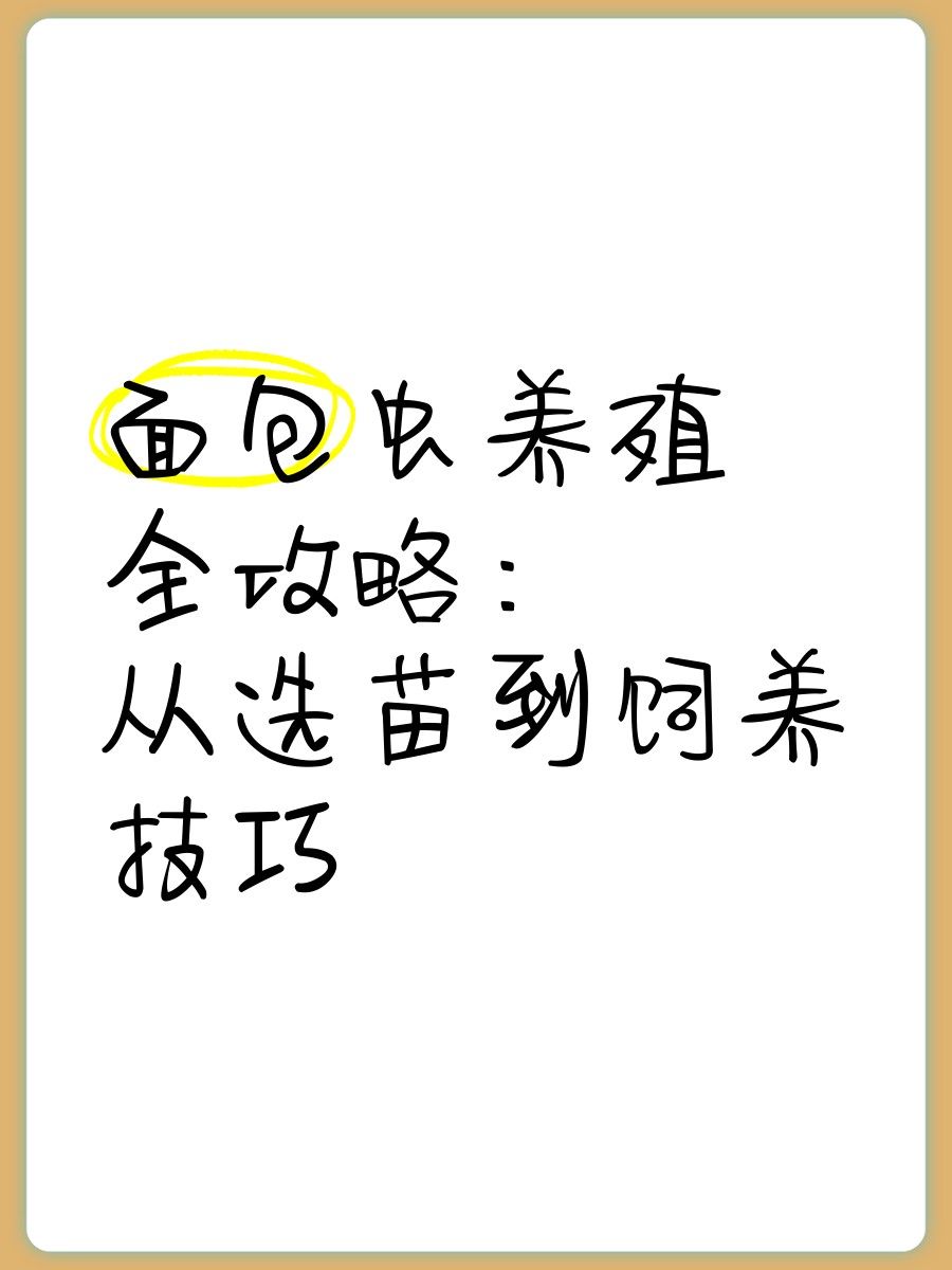 面包蟲如何消毒處理：面包蟲養殖全攻略