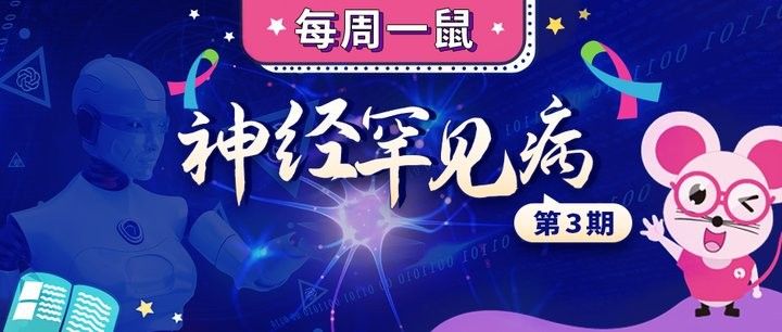 龍貓遺傳病有哪些癥狀：龍貓常見病處理與健康判斷全攻略