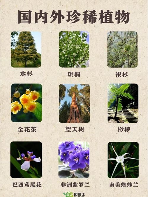 能推薦一些稀有品種嗎：種植前景好，而且比較稀有的水果品種大分享