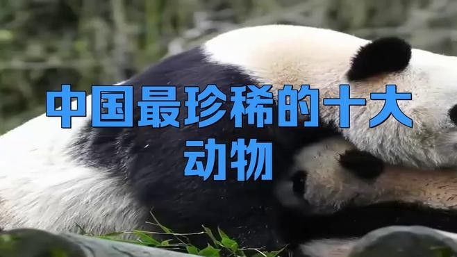 能推薦一些稀有品種嗎：種植前景好，而且比較稀有的水果品種大分享
