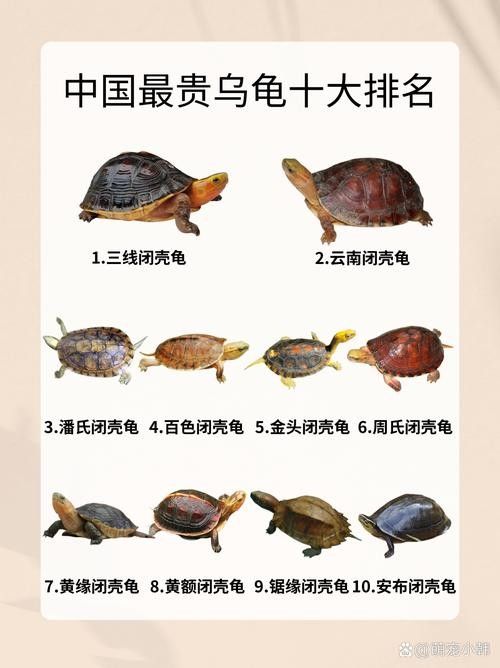能推薦一些稀有品種嗎：種植前景好，而且比較稀有的水果品種大分享