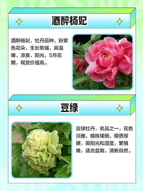 能推薦一些稀有品種嗎：種植前景好，而且比較稀有的水果品種大分享