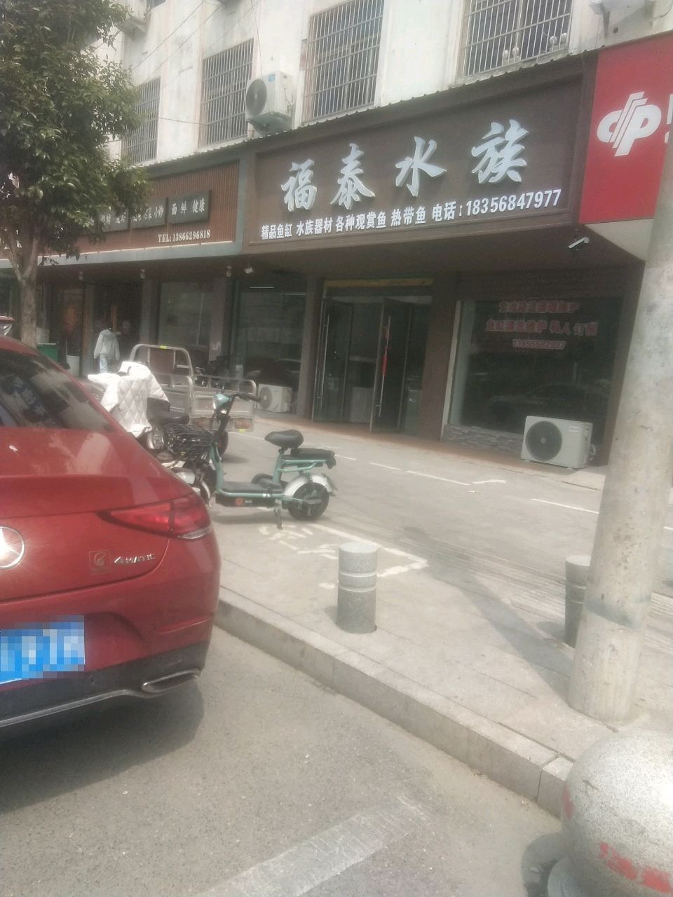 太和哪個水族館龍魚好？祥龍魚場龍魚：廣州龍魚祥龍魚場龍魚養殖知識99學術網聽學術網聽