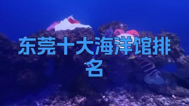 如何聯系東莞龍魚養殖基地？：東莞三和田錦鯉養殖有限公司 如何聯系東莞龍魚養殖基地？：東莞三和田錦鯉養殖有限公司 龍魚百科 第4張