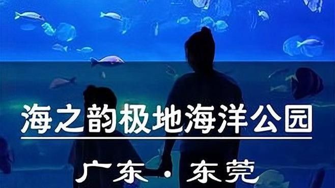 如何聯系東莞龍魚養殖基地？：東莞三和田錦鯉養殖有限公司 如何聯系東莞龍魚養殖基地？：東莞三和田錦鯉養殖有限公司 龍魚百科 第2張