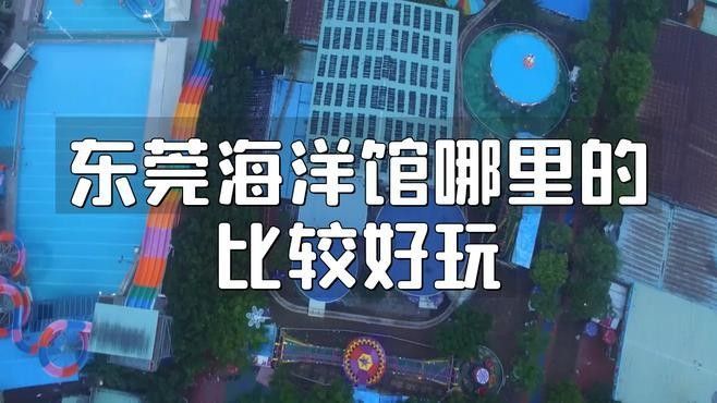 如何聯系東莞龍魚養殖基地？：東莞三和田錦鯉養殖有限公司 如何聯系東莞龍魚養殖基地？：東莞三和田錦鯉養殖有限公司 龍魚百科 第3張