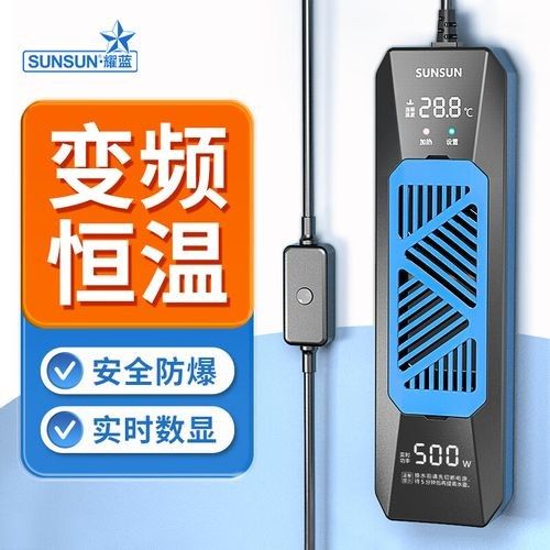 龍魚缸應該使用什么加熱棒：如何挑選適合大型龍魚缸的加熱棒
