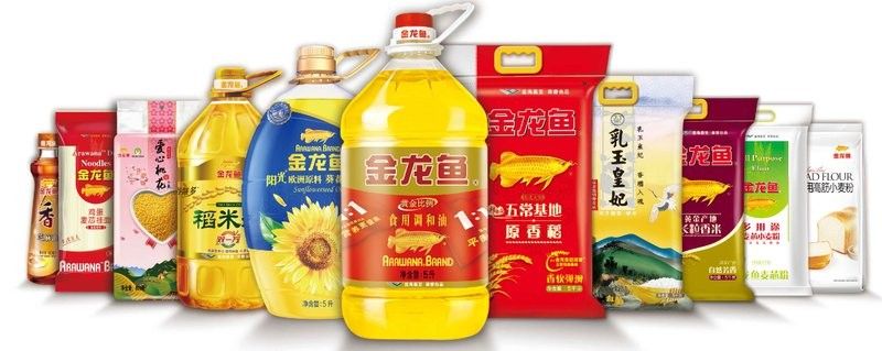 金龍魚是如何克服這些挑戰(zhàn)的：金龍魚2024年財(cái)報(bào)深度解析