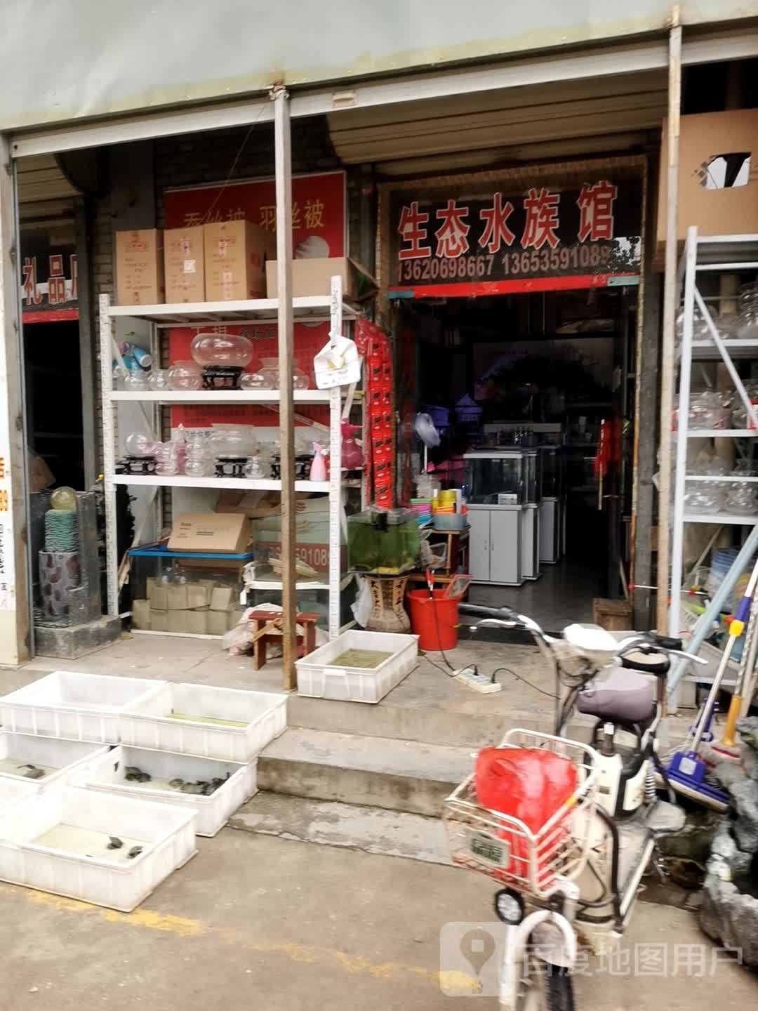 運城哪個水族館龍魚好？祥龍魚場龍魚：廣州龍魚祥龍魚場·進口元寶鳳凰魚飼養全指南