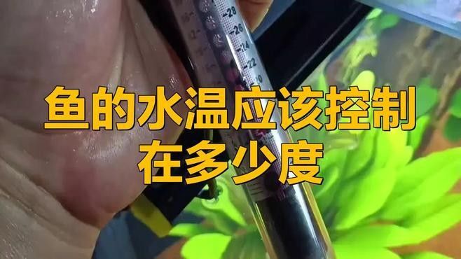 如何判斷一種魚是否適合混養(yǎng)：判斷觀賞魚是否適合混養(yǎng)需綜合以下關(guān)鍵因素并參考專業(yè)養(yǎng)殖經(jīng)驗(yàn)