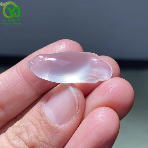 如何辨別真假玉金龍魚：怎樣辨別真假玉金龍魚 如何辨別真假玉金龍魚：怎樣辨別真假玉金龍魚 龍魚百科 第11張