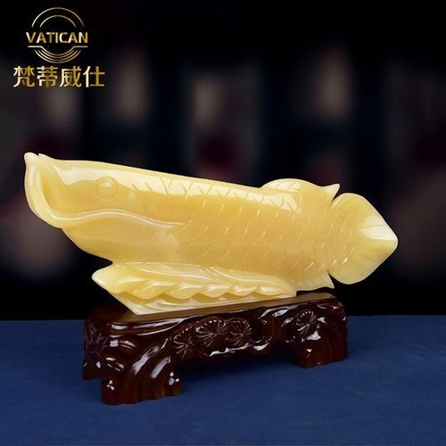 如何辨別真假玉金龍魚：怎樣辨別真假玉金龍魚 如何辨別真假玉金龍魚：怎樣辨別真假玉金龍魚 龍魚百科 第12張
