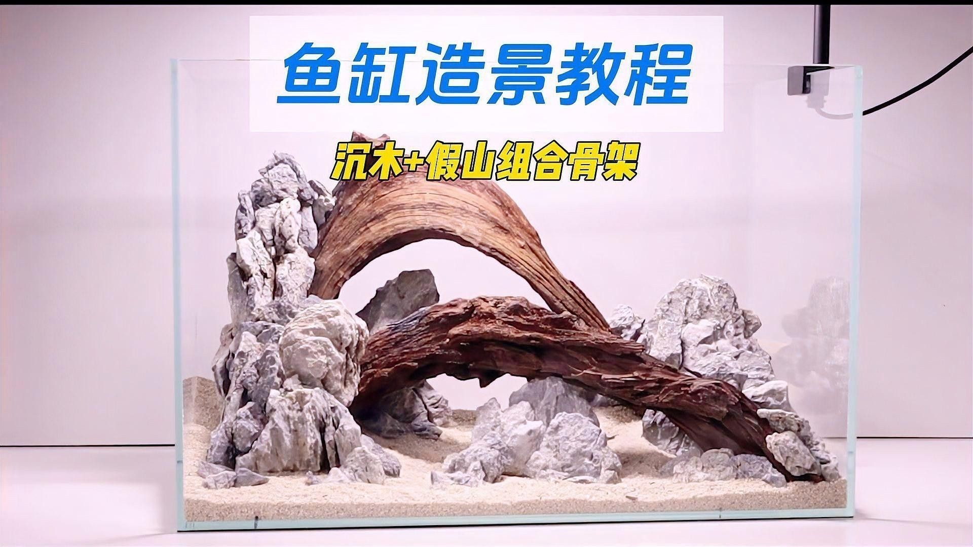沉木造景需要哪些配套設(shè)備：沉木造景的配套設(shè)備根據(jù)缸體尺寸和造景風(fēng)格選擇